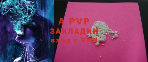 сатива Нягань