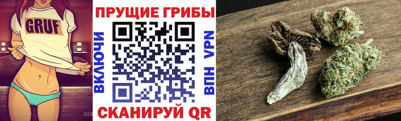 Галлюциногенные грибы Cubensis  Тимашёвск 
